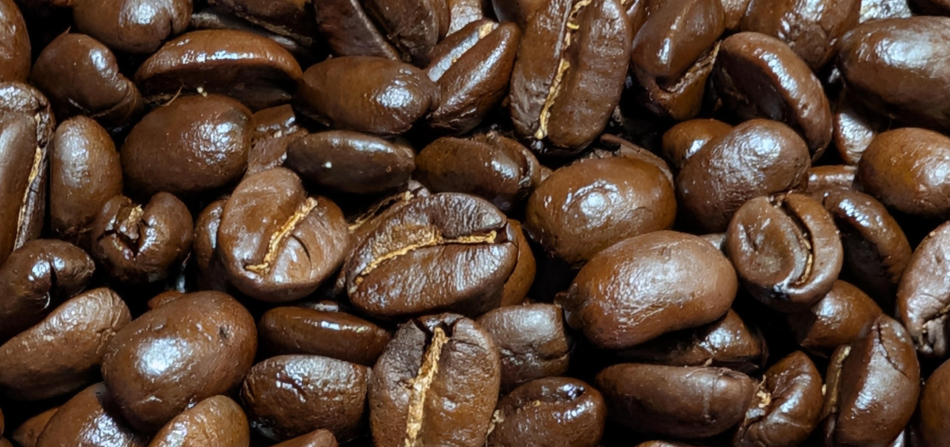 Fresh roasted coffee beans